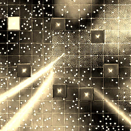 The Great Divergence: When Macro Narrative Meets On-Chain Reality